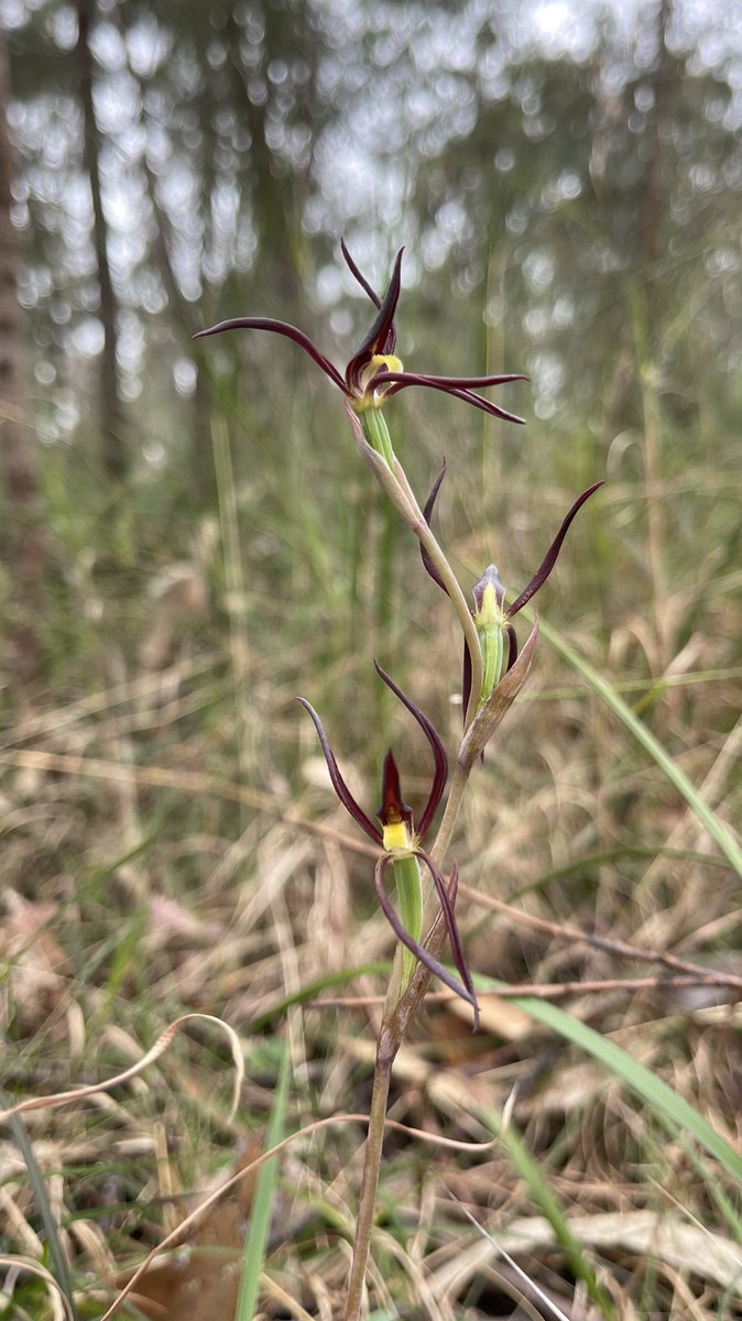 Matt Clancy tweet media