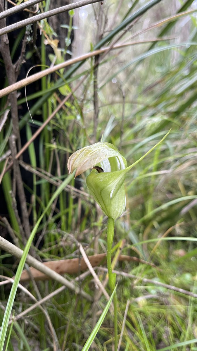 Matt Clancy tweet media