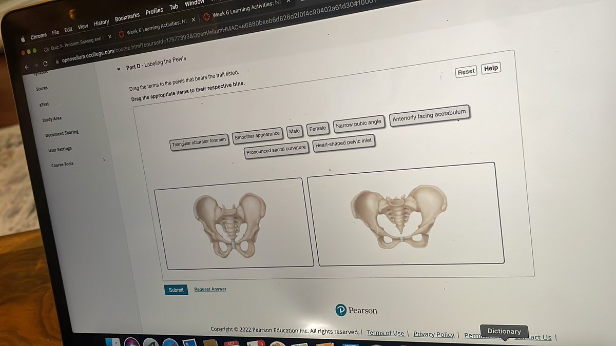 p_olyy's tweet photo. @reddit_lies @MalesOfReddit “Pseudo science” In gfs med school quiz https://t.co/6LKi6Lt2KC
