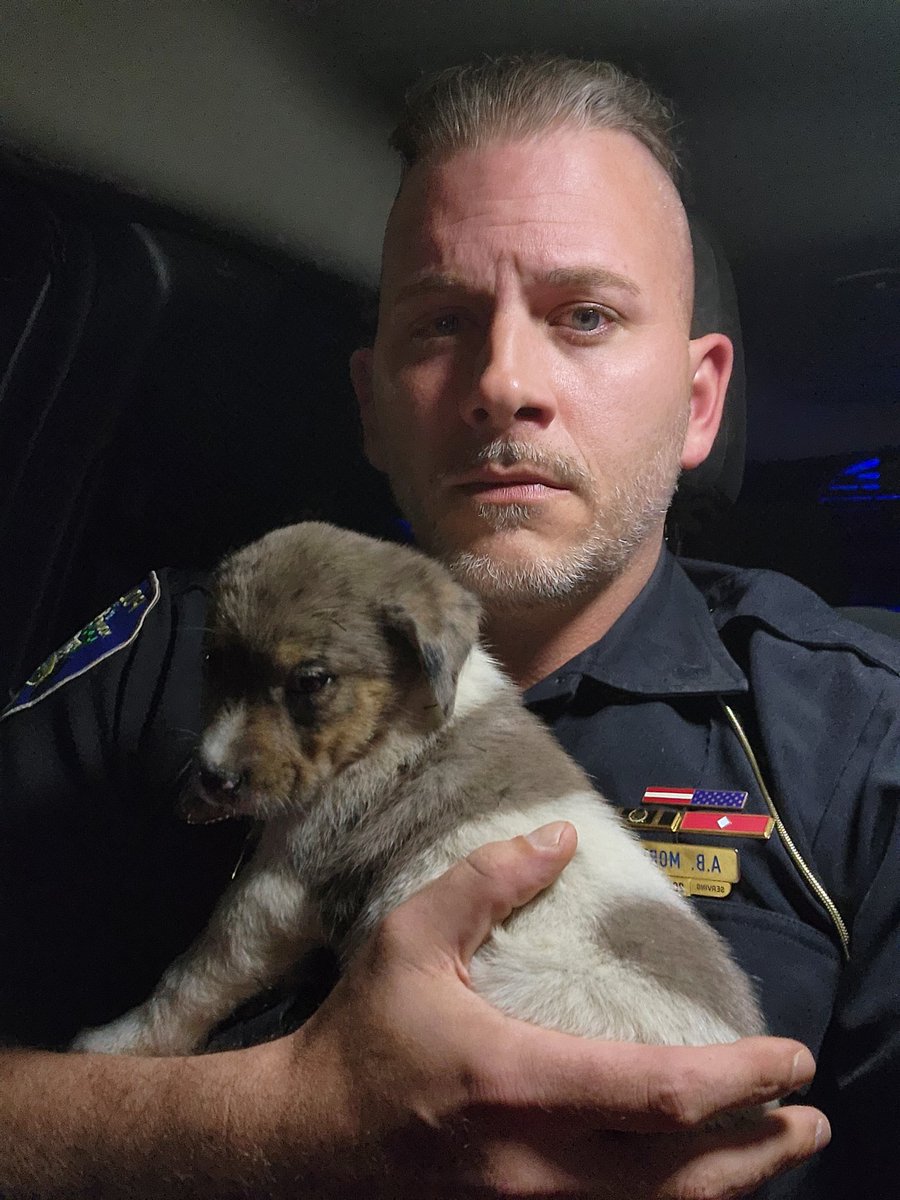 I found a puppy on the way home that had been hit by a car and was lying in the roadway.
I'm so thankful for @RescueFluff for sending me to an emergency vet in Vass, NC to get this baby some help.
Thankful for my followers that have donated to this non-profit rescue💙