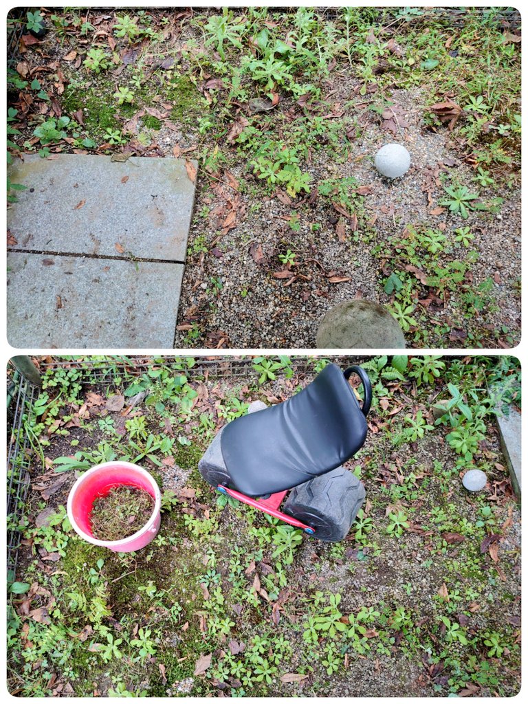 草引き Twitter Search Twitter