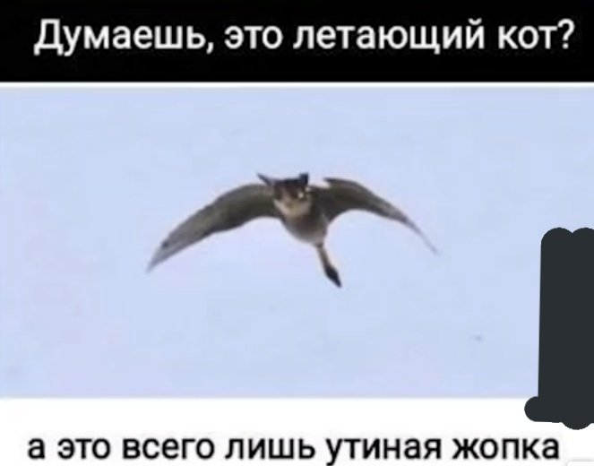 Мне пришлось смериться