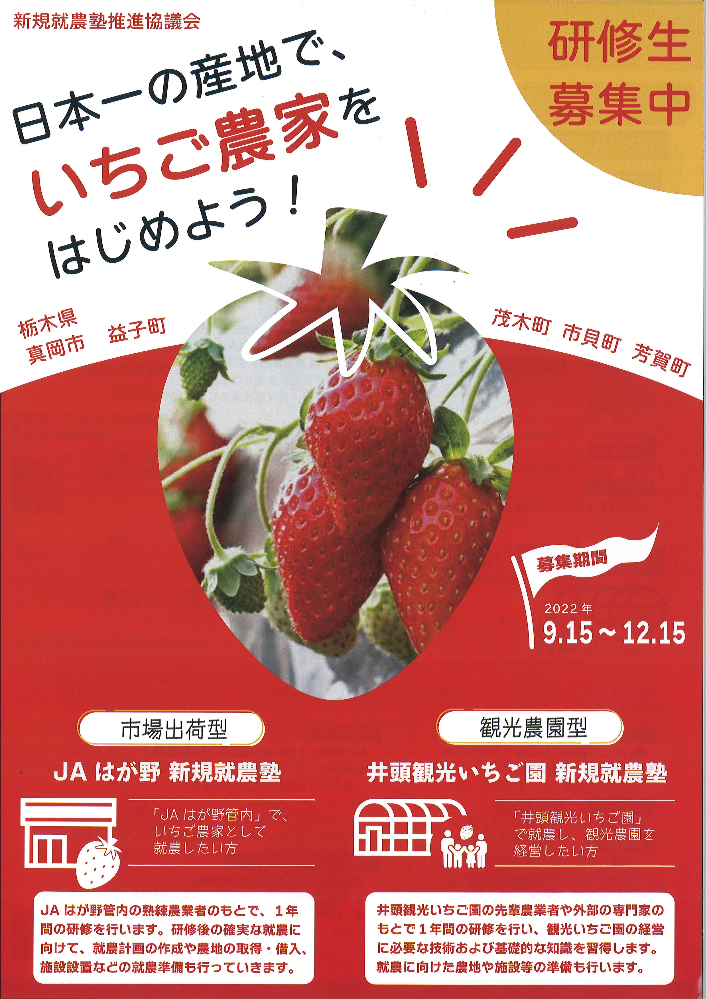 中華のおせち贈り物 いちご農家 Dunk 様専用 Slam Yaka Yaka 少年漫画 Barntgreenchuggers Co Uk