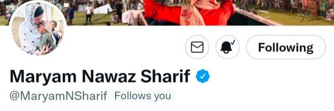 PMLN tweet media