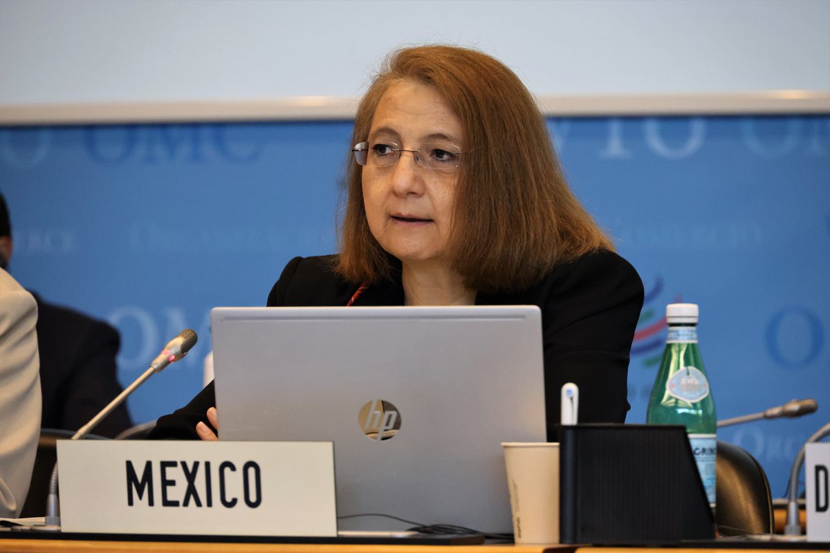OMC_es's tweet photo. #México 🇲🇽 se somete a la revisión de sus políticas comerciales. La subsecretaria de Comercio Exterior @luzmadelamora encabeza la delegación mexicana en Ginebra. Este examen constituye una actividad de importancia fundamental en la labor de la OMC. https://t.co/dm4VTkfwdS https://t.co/YN1lbrbZvQ