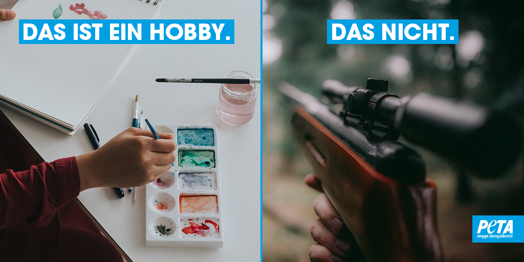 PETADeutschland's tweet image. Auf wehrlose Mitgeschöpfe zu schießen ist kein Hobby, sondern #Tierquälerei. Helft uns, damit die #Hobbyjagd in Deutschland endlich verboten wird! ❌PETA.de/aktiv/hobbyjag…