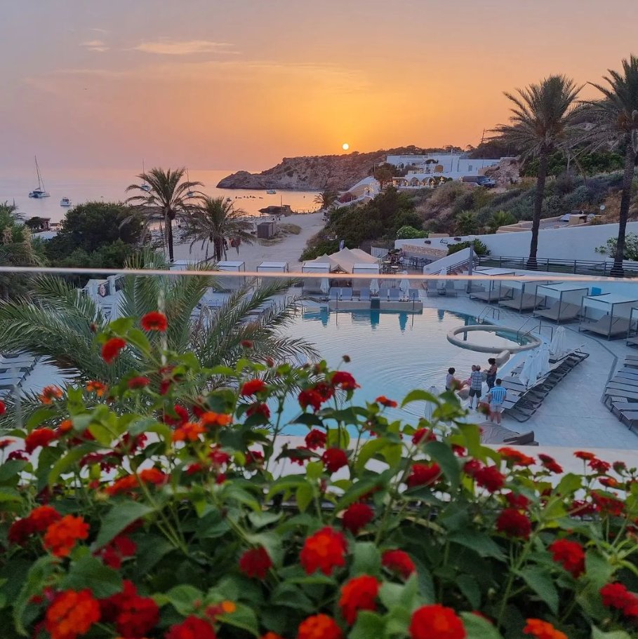 TUIUK's tweet photo. Sunsets in Ibiza are ✨𝒾𝓂𝓂𝒶𝒸𝓊𝓁𝒶𝓉𝑒✨ Tell us your White Isle top tips in the comments...
📍 TUI BLUE Tarida Beach, Ibiza
📸 HollyKeelingInteriors | Instagram https://t.co/Jp86MnnLvp
