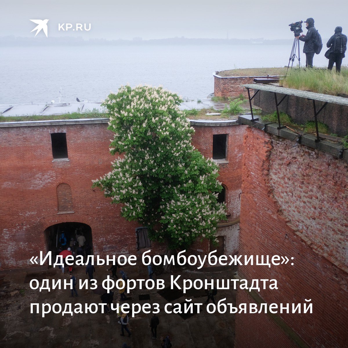 шанхай кронштадт