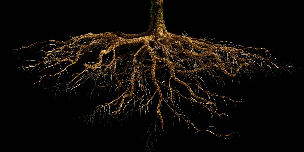 Společně se <a href="/signalfestival/">Signal Festival</a> jsme se rozhodli podpořit mladou generaci umělců a umělkyň digitálního věku v čele s <a href="/ondrejzunka/">Ondrej Zunka🪞</a> ⚡ Výsledkem je unikátní výstava INVISIBLE FORCES a bohatý doprovodný program, jehož součástí můžete být už příští týden  ➤ bit.ly/SignalKunsthal…