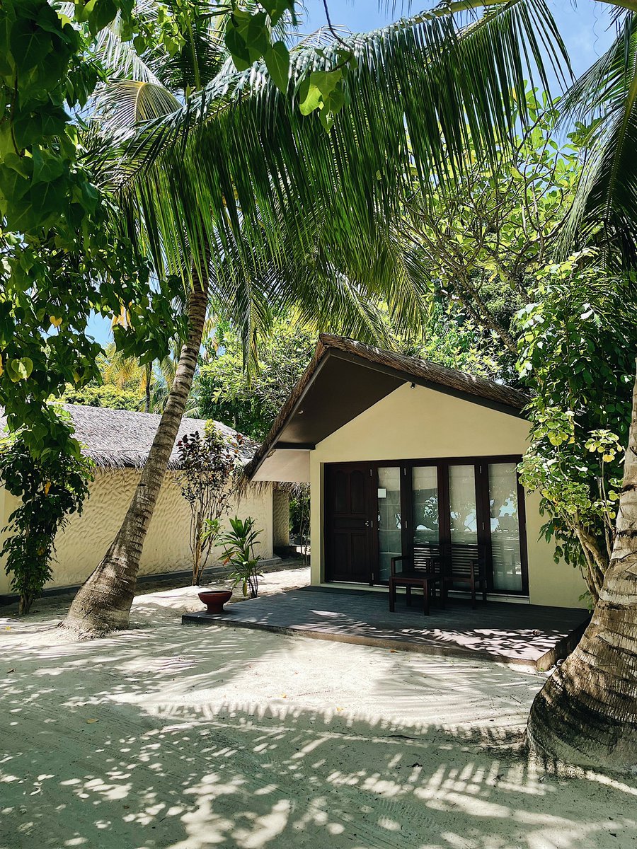 🏝 out of office 🏝