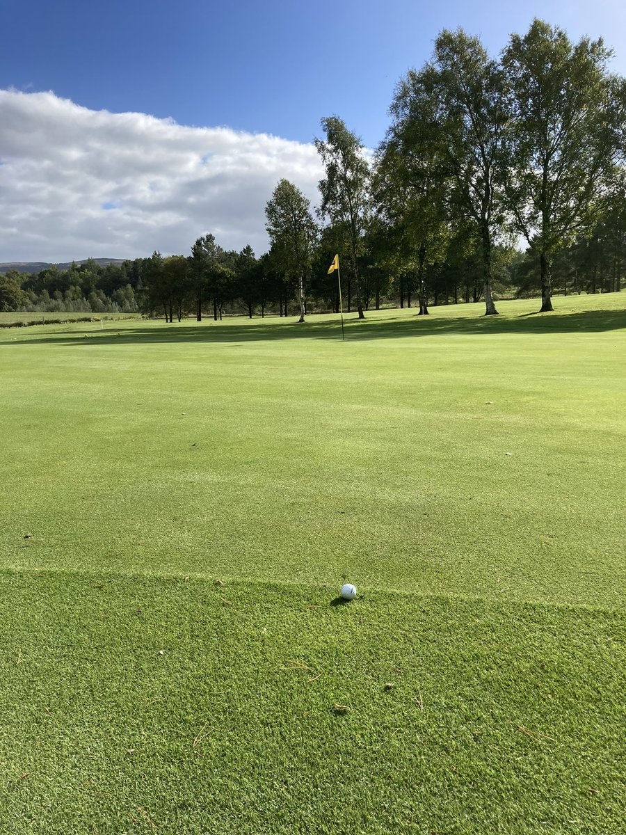 SkiptonGolfClub's tweet photo. A picture with a story. This is our Par 4 fifth green, &amp; the ball belongs to Gav Stocker, our 2022 Club Champion. This is where his tee shot ended up on this 419 yard dog-leg hole! It’s one heck of a carry over woods. No eagle, just a birdie. 😳😳Awesome. @YUGCUK @McIlroyRory https://t.co/xo9yBLyyZI