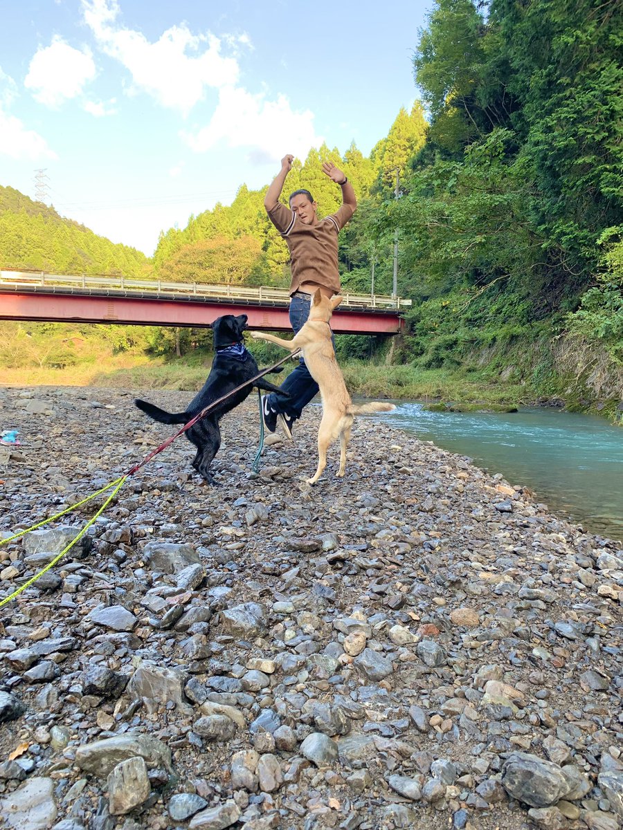 Stella_maipet's tweet photo. THE NUDGE ドギーフェス行きました🐕🐕‍🦺
いろんなワンちゃんと仲良く楽しく走り回り、美味しいものたくさん食べました✨
集合写真はギリギリでお尻向けちゃうかわいい愛娘♡
帰りは川で遊びました♪
#春野ふれあい広場
#THENUDGE
#DOGGYFES
#THERIVERSIDECAFE
#ドッグラン
#保護犬
#雑種 https://t.co/Anwllgf94u