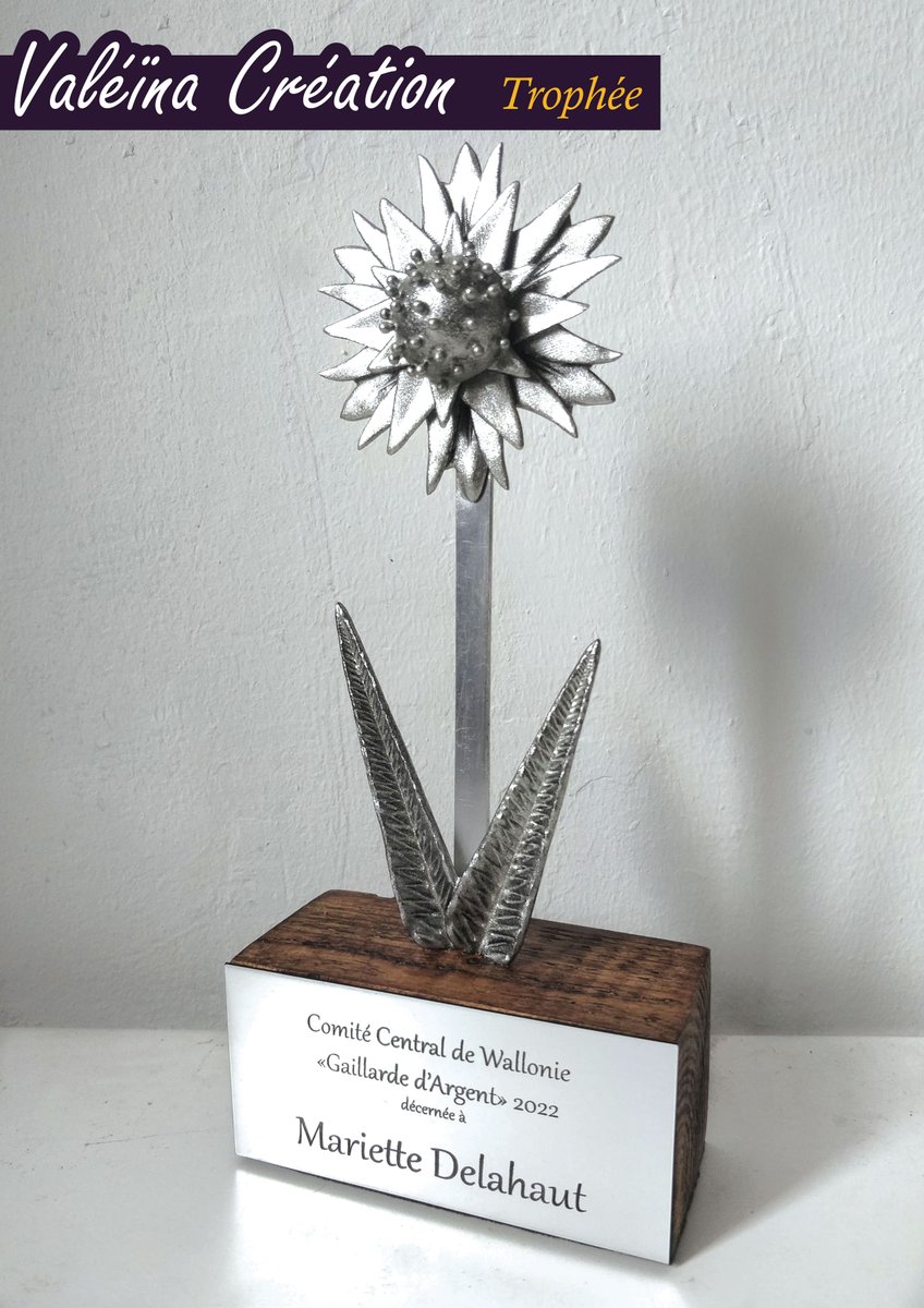 Créé chez @VigoUniversal  en 2016. <a href="/RandomPrintSPRL/">Random Print Studio</a> a repris la production en 2021. Et il continue son épopée chez <a href="/ValeinaCreation/">Valéïna Création</a>  en 2022.
En fait, ce trophée est mon CV 😂

#craft #trophy #namur #custom #wallonie #3Dprinting