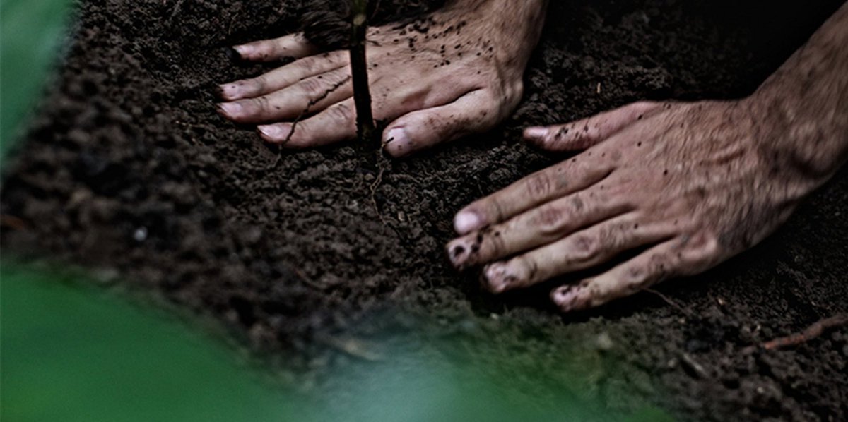 D-USYS@ETH (@usys_ethzh) on Twitter photo Large-scale forestation may alter the Earth’s energy balance, affecting both global atmospheric and ocean circulation patterns. Modelling study published <a href="/NatureComms/">Nature Communications</a> by <a href="/r_portmann/">Raphael Portmann</a> <a href="/UrsBeyerle/">Urs Beyerle</a> <a href="/SebastianSchemm/">Sebastian Schemmel</a> <a href="/EduardDavin/">Eduard Davin</a> <a href="/erichfischer/">Erich Fischer</a> <a href="/HertogSteven/">Steven De Hertog</a>: usys.ethz.ch/en/news-events… Large-scale forestation may alter the Earth’s energy balance, affecting both global atmospheric and ocean circulation patterns. Modelling study published <a href="/NatureComms/">Nature Communications</a> by <a href="/r_portmann/">Raphael Portmann</a> <a href="/UrsBeyerle/">Urs Beyerle</a> <a href="/SebastianSchemm/">Sebastian Schemmel</a> <a href="/EduardDavin/">Eduard Davin</a> <a href="/erichfischer/">Erich Fischer</a> <a href="/HertogSteven/">Steven De Hertog</a>: usys.ethz.ch/en/news-events…