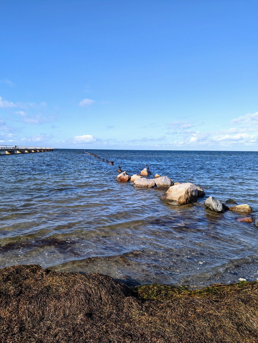 Sean Thornton tweet media