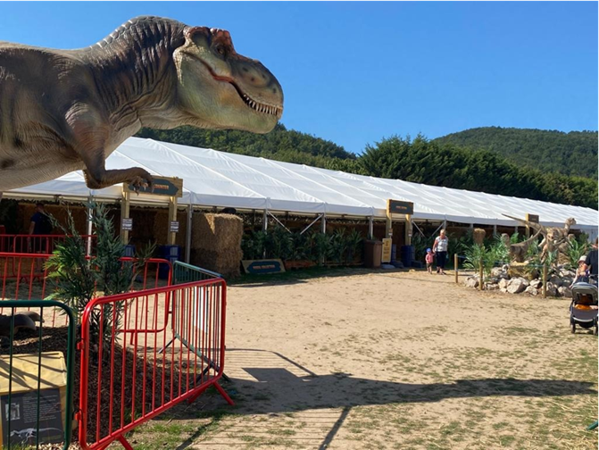 2 Weeks to go until The Showmans Show. Don't forget to come and see me on Stand 158, it will be lovely to see new and old customers for a catch up. #theshowmansshow #networking #temporarystructures