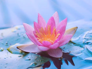 Dr. Avinash Bansode tweet media