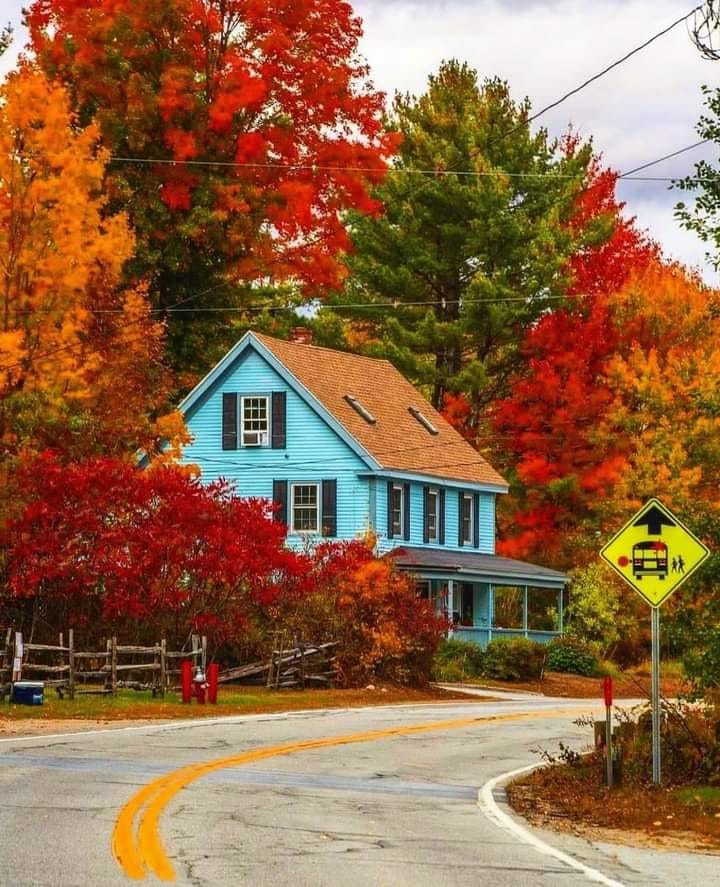 Biraz huzur!!! bu evi yuva yapmak sadece sevgiyle olur... sevelim birbirimizi ve dünyayı yuva yapalım.