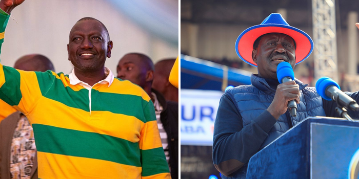 Which coalition do you think is the majority in the National Assembly?
1. Kenya Kwanza
2. Azimio La Umoja