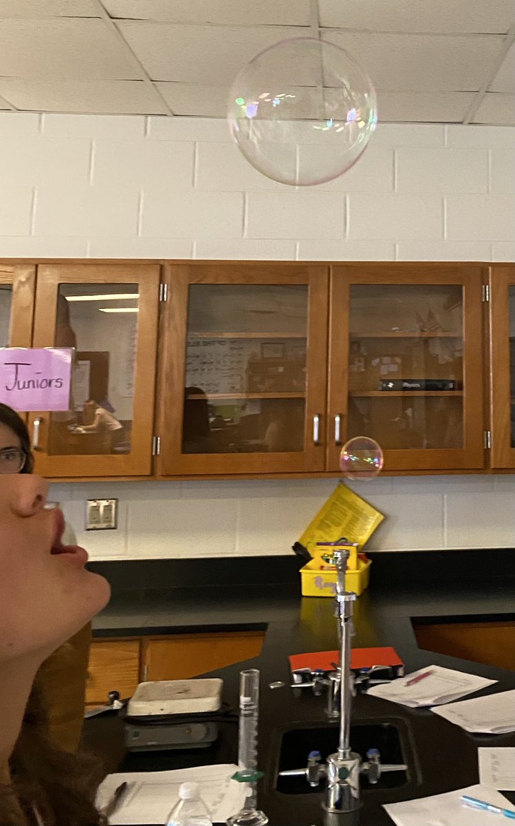 DrRoye's tweet photo. Survivorship Lab, APES. 

K-selected species getting “kare” from their “parents”. The lengths these “parents” went to in order to keep their offspring alive is one for the books!🤣 https://t.co/y1MYMknHfR