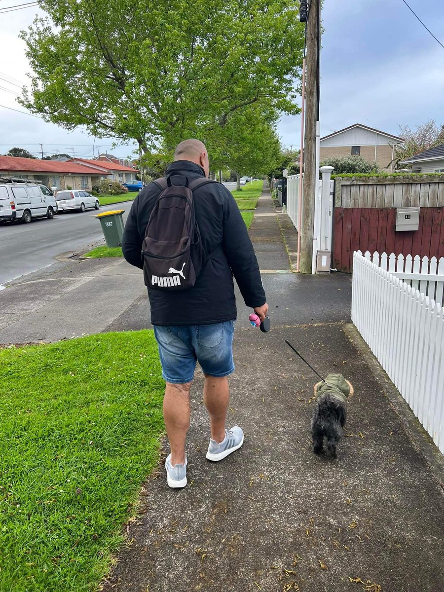 jobartleynz's tweet photo. Naawww thanks Efeso for taking Milo door knocking today in Onehunga he just loves it. #dogfriendly #nextMayor https://t.co/imKi9xpwCB