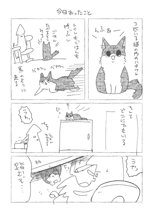 風呂にも入ってくる おもちゃの場所は覚えてるので賢いなとは思う 