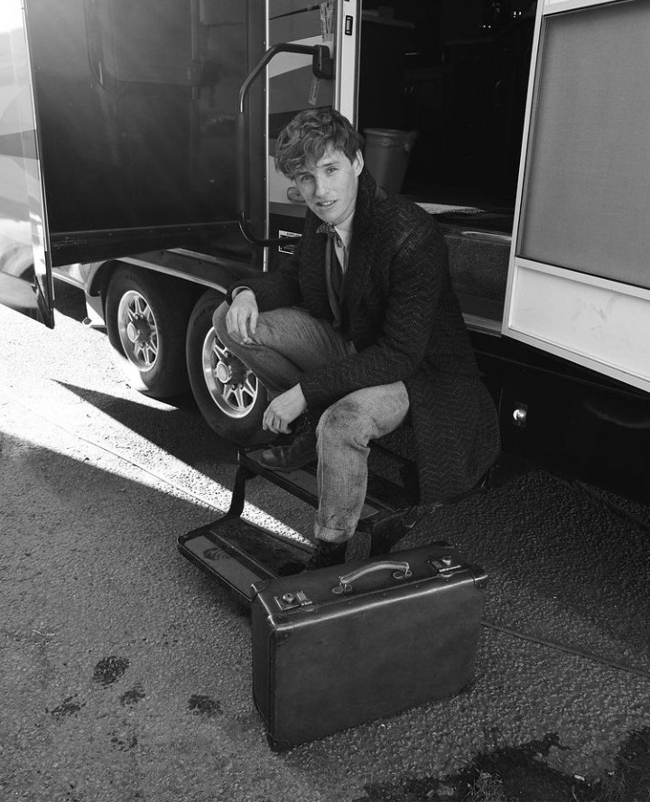 WZD⚡️ on Twitter "/wzd who's your crush in wizarding world? start with