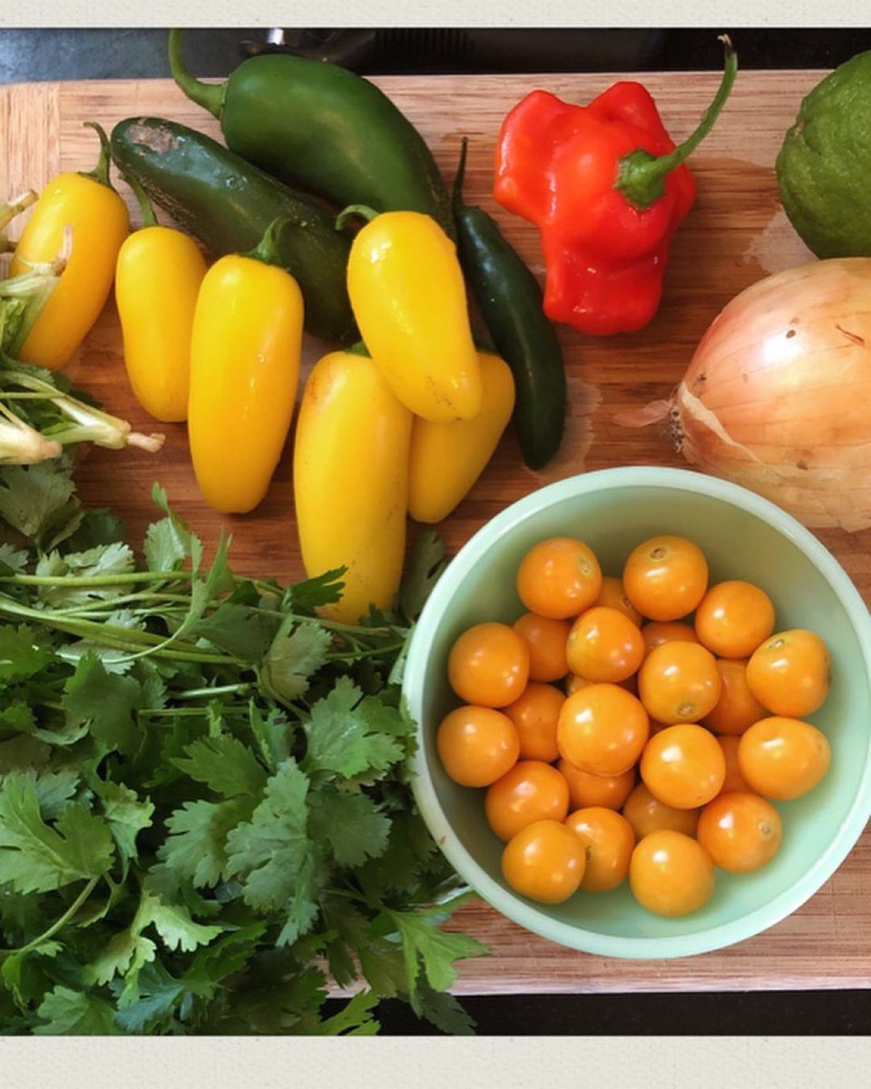 cookfirstpdx's tweet photo. We’re coming back LIVE @HillsdaleFM this Sunday. Starting at 10 AM we’ll have a salsa station and tons of inspiration. See you there! https://t.co/jhxVAtq2H0