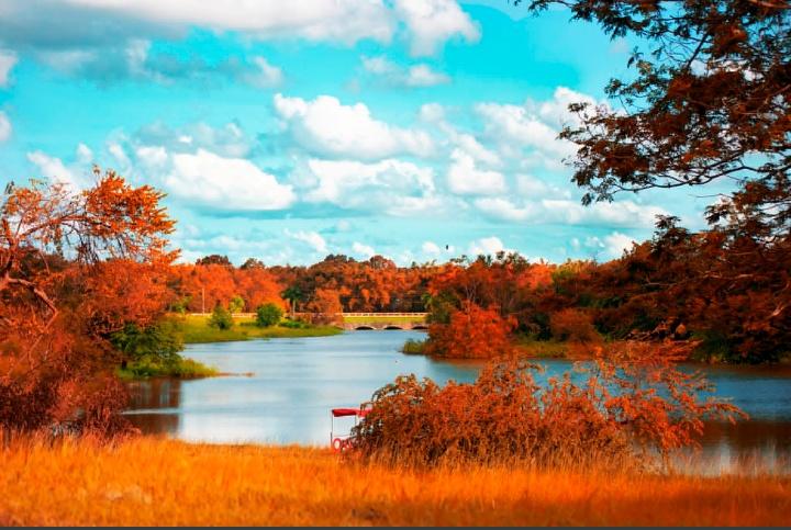 Kris_Sion's tweet photo. @BraydenCreation 🍁🍂🇨🇺 https://t.co/Ltff5YXOTp