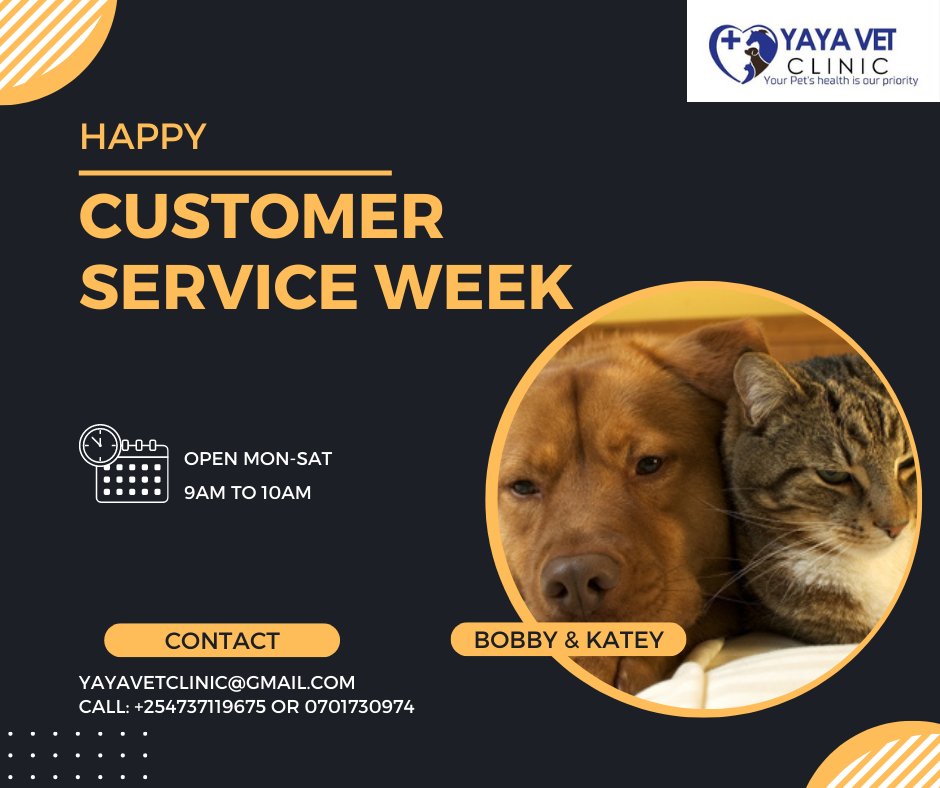 Yaya Vet Clinic tweet media