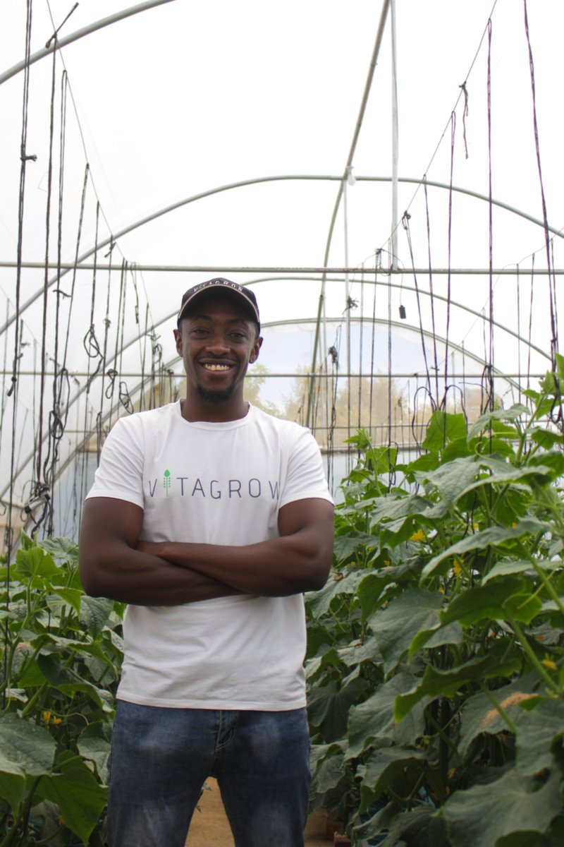 farmshopZW's tweet photo. 🥒Cucumber Boreal does exceptionally well when grown hydroponically and it is the preferred cucumber seed variety at Vitagrow Urban Farms.🥒

Get your Cucumber Boreal seeds at a FarmShop near you! 

@myvitagrow 

#Agriculture #FarmingSeason #HydroponicFarming #Cucumber https://t.co/ju5jsHbite