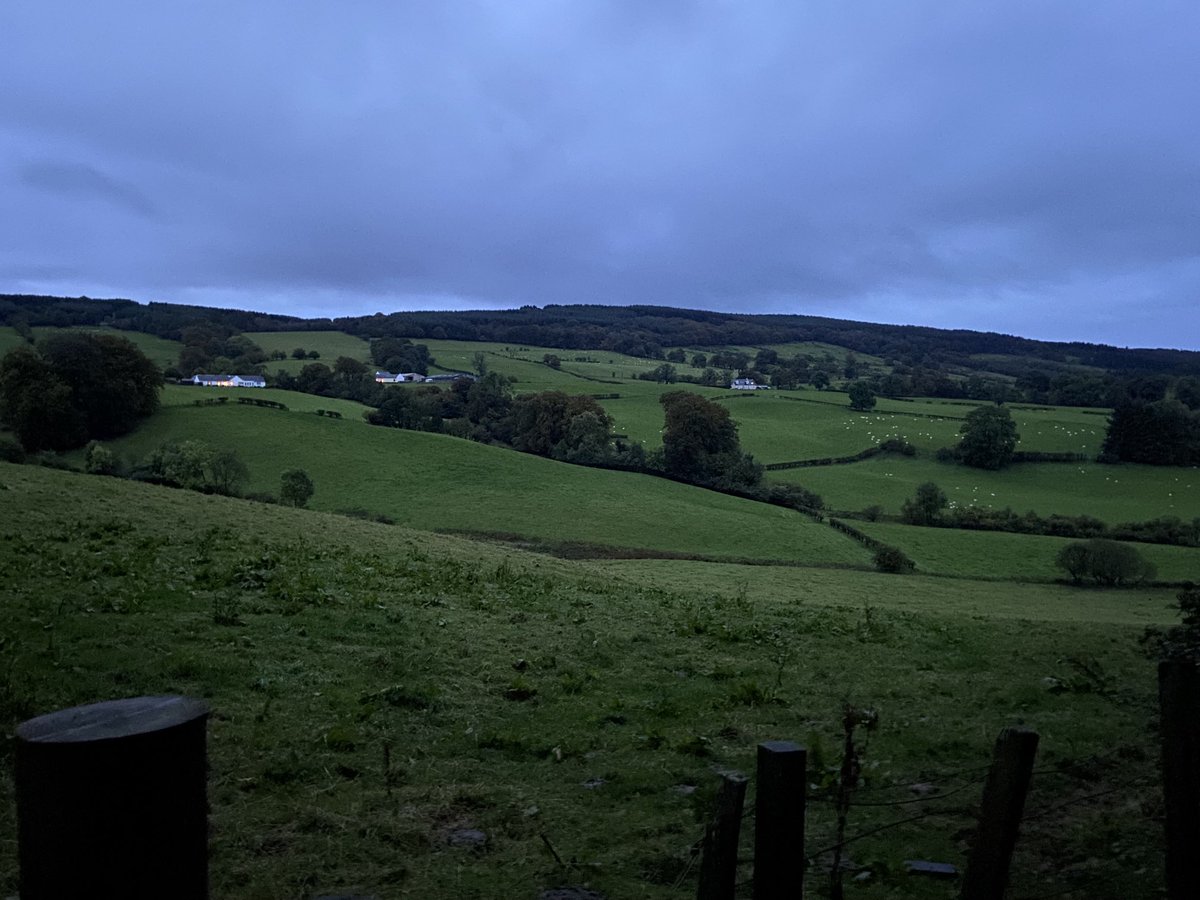 equiscot's tweet photo. Good morning. At least the rain stayed of so far. https://t.co/c2UXwhLF6i