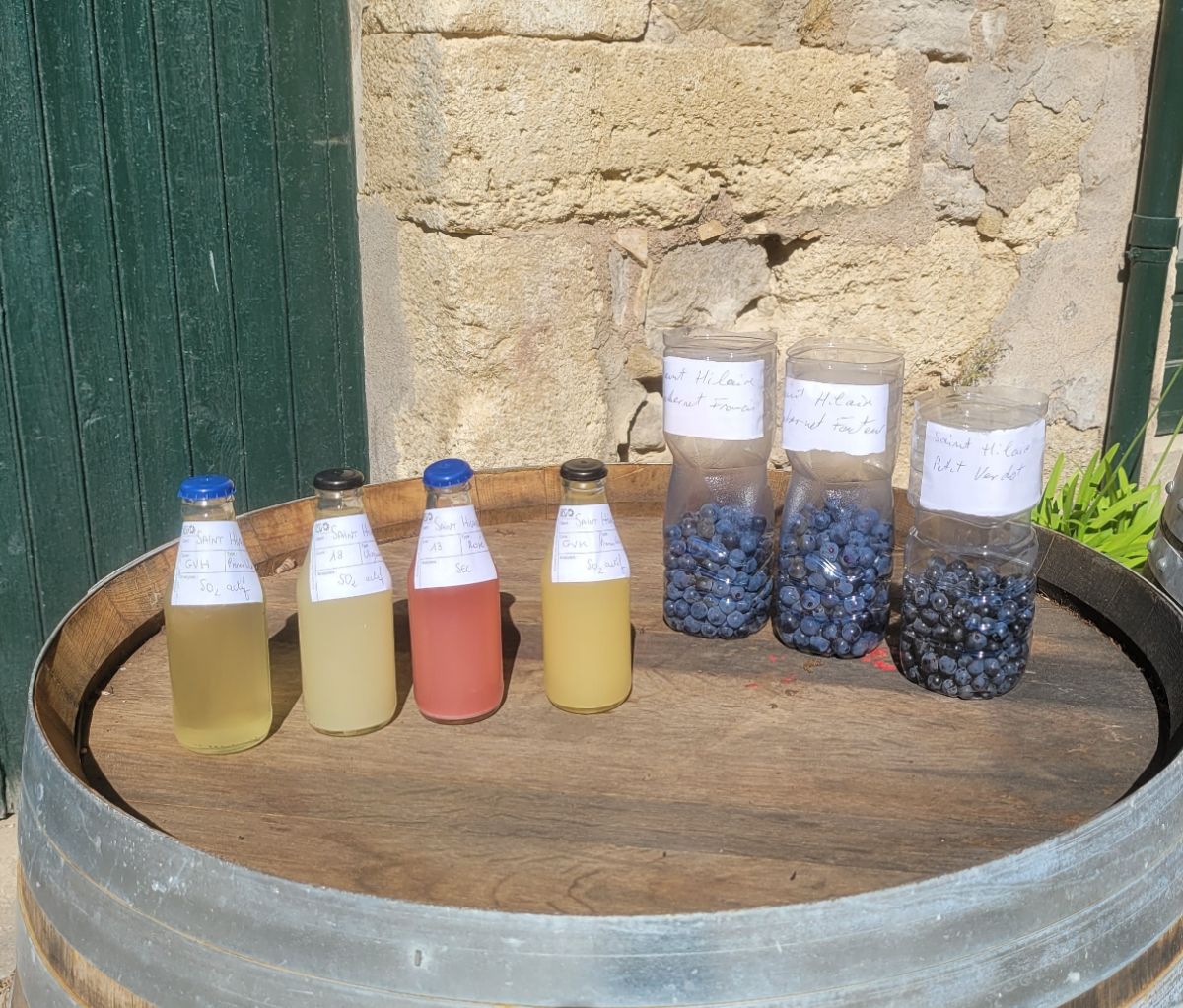 dshwine's tweet photo. vendanges et autres nouvelles - https://t.co/iDeBZuafcL https://t.co/F1SzJo8djv