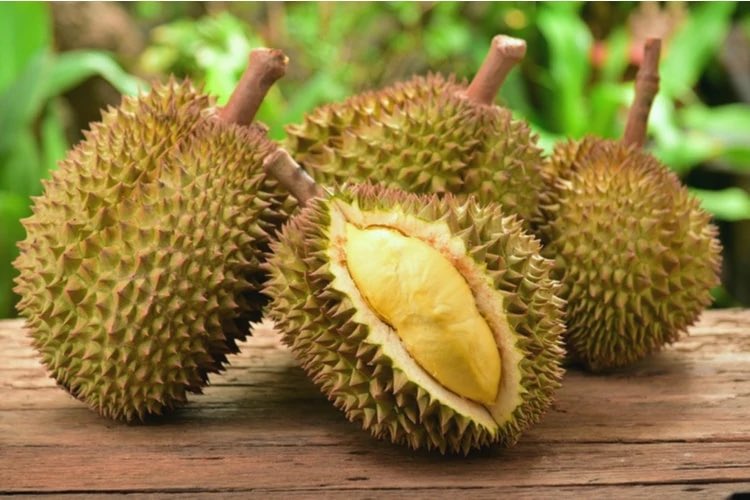 MMCrypto's tweet photo. Durian: smells like Dogecoin, tastes like #Bitcoin! https://t.co/oakEof2HTW