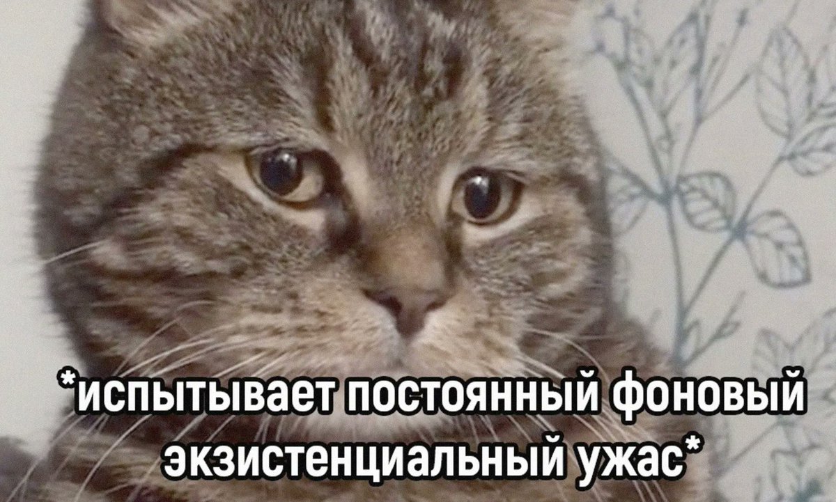 drunktwi's tweet photo. Дневник пессимиста:
7:00 - проснулся, пил кофе
7:10 - искал повод для расстройств
8:00 - не нашёл поводов для расстройств и расстроился
8:10 - обрадовался, что расстроился
8:15 - расстроился, что обрадовался https://t.co/LY3M09oZ4B