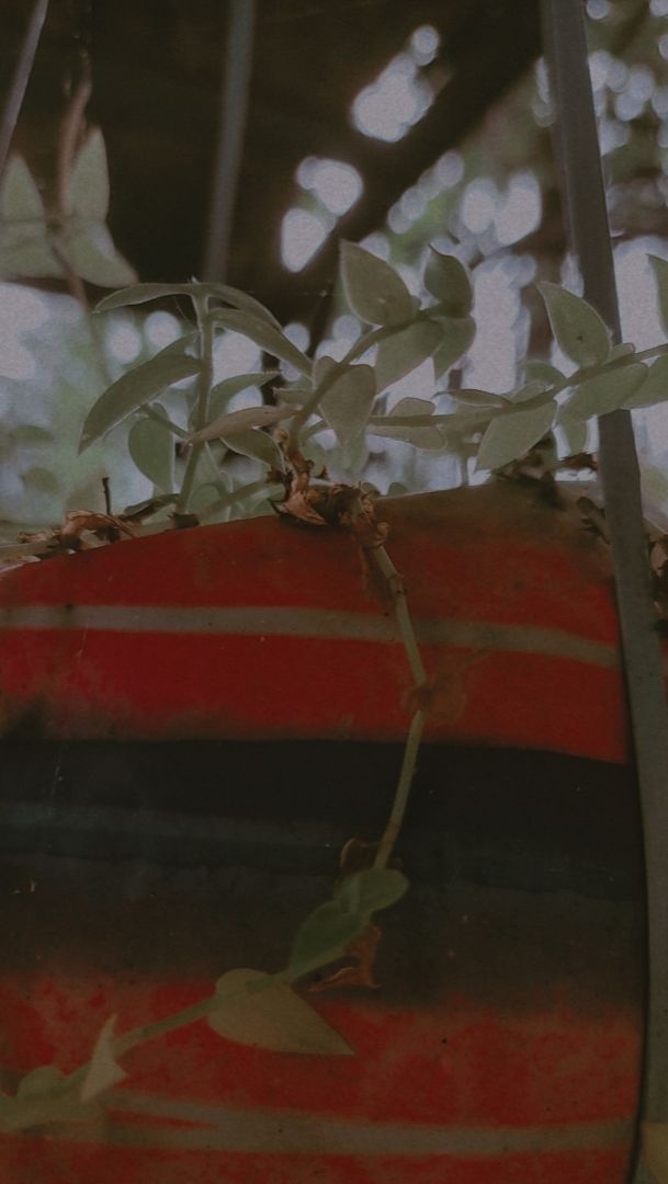 Prakrithi130613's tweet photo. Life begins, where fear ends . 
. 
. 
. 
#BTSLoveMyself #btsblueandgrey  #namjooning 
. 
My life goes on with or without whoever. 
. 
. 
. https://t.co/Xykk0D9jHb
