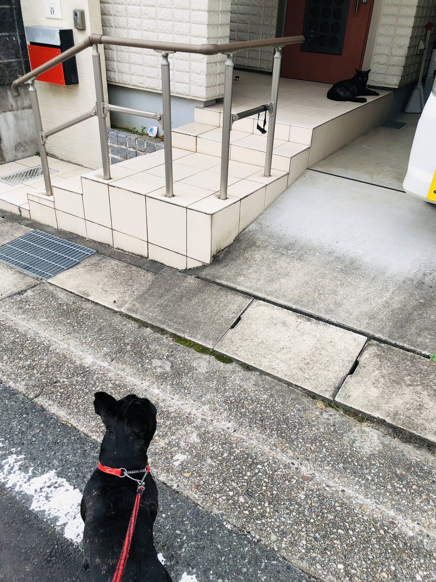 雲在天上 Yunzaitianshang Twitter