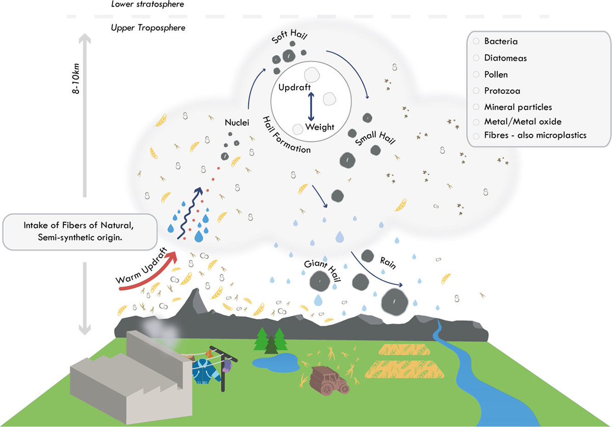 New study by Kozjek et al. reports #microplastic in for the first time in giant hailstones and concludes "that anthropogenic microfiber pollutants were a significant factor in the formation of the giant hailstones analyzed in this study." #plastic
sciencedirect.com/science/articl…