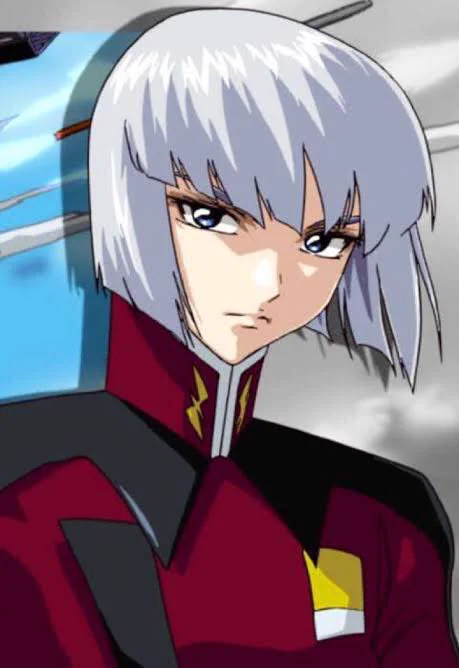 機動戦士ガンダムSEEDシリーズ on X: 
