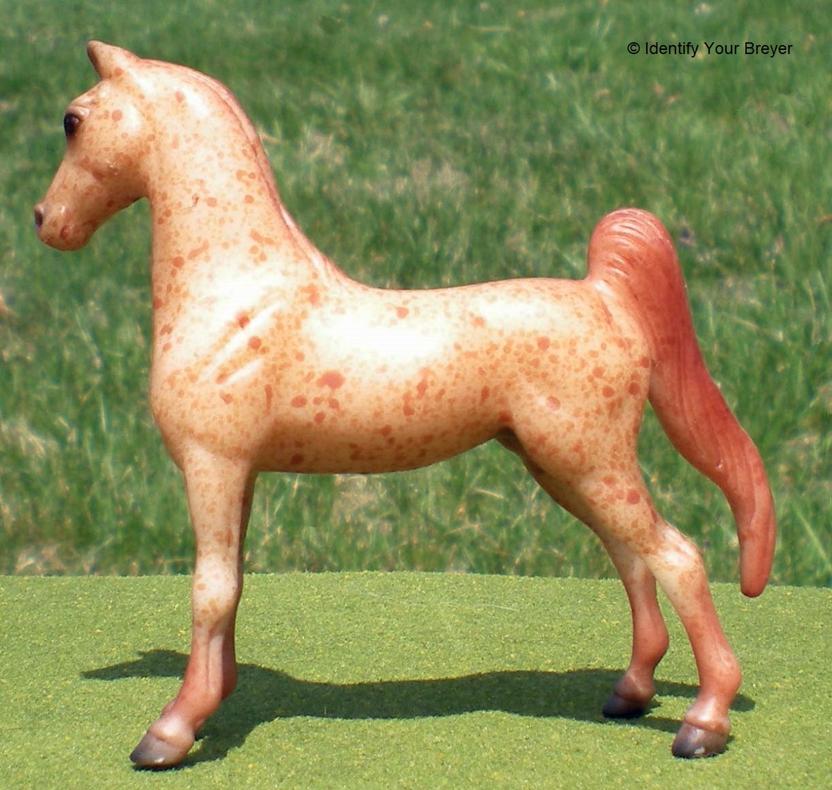 when the horse is a model 🐴 on Twitter "2018 'Rosemary' Breyer