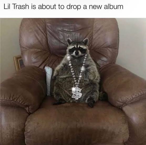 trash_dog (@itsu_nie) on Twitter photo 