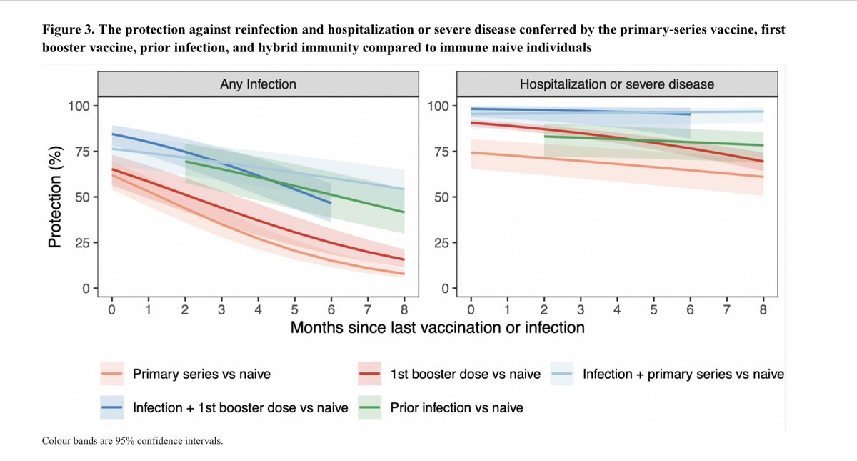 Fascinating meta analysis of protection from infection +/- vaccination against Omicron

Prev infection somewhat more durable than vaccination, but hybrid immunity superior by far 💉 

Minimal waning against vs disease despite quick waning vs any infection

medrxiv.org/content/10.110…