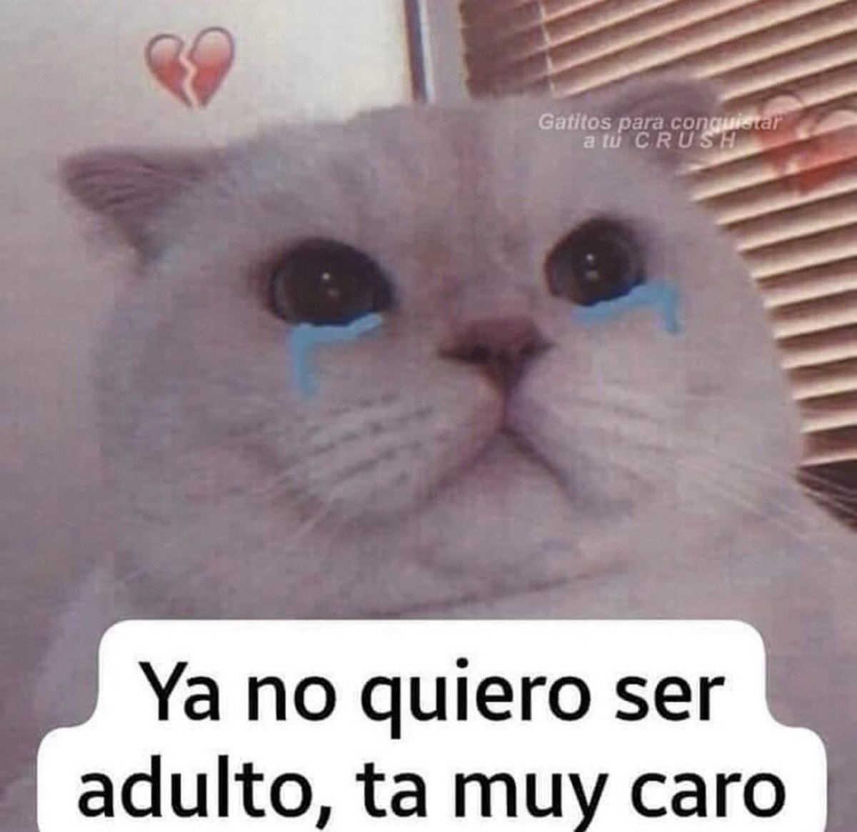 Guarriormantico's tweet photo. https://t.co/TVJop0Xsgq