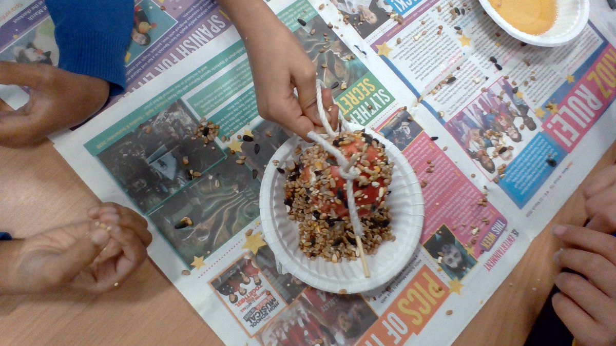 MrsDavisY4's tweet photo. In English, we have made bird feeders by following a set of instructions. @MerrydaleJunior @Merrydalehead @MerrydaleDeputy #handsonlearning https://t.co/ubkGqvLgQT