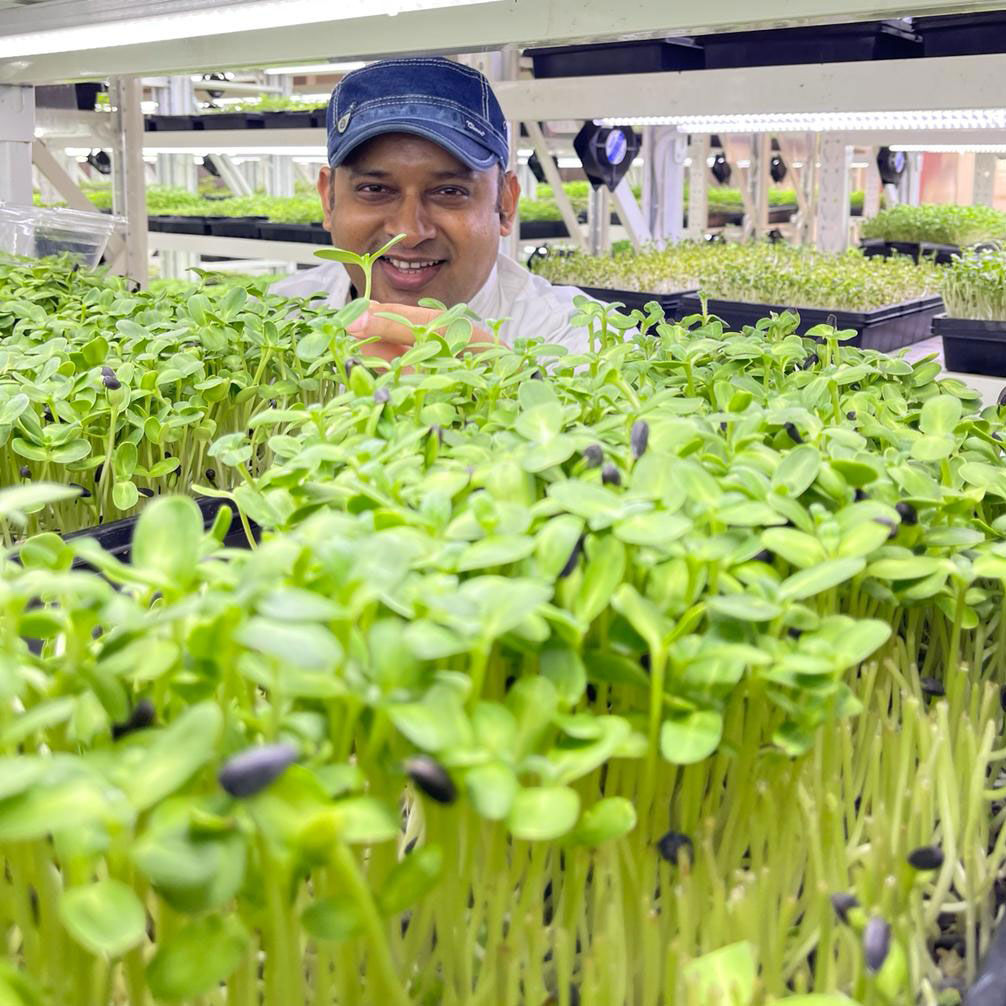 PrashantC1815's tweet photo. ๐ ๐ ๐ถ๐ฐ๐ฟ๐ผ๐๐ฟ๐ฒ๐ฒ๐ป๐ - Hand grown in Organic Soil!
Guess which place - mention in comments below๐
#cheflife #organic #foodie #dubai #prashantchipkar https://t.co/bRZJteFAcG