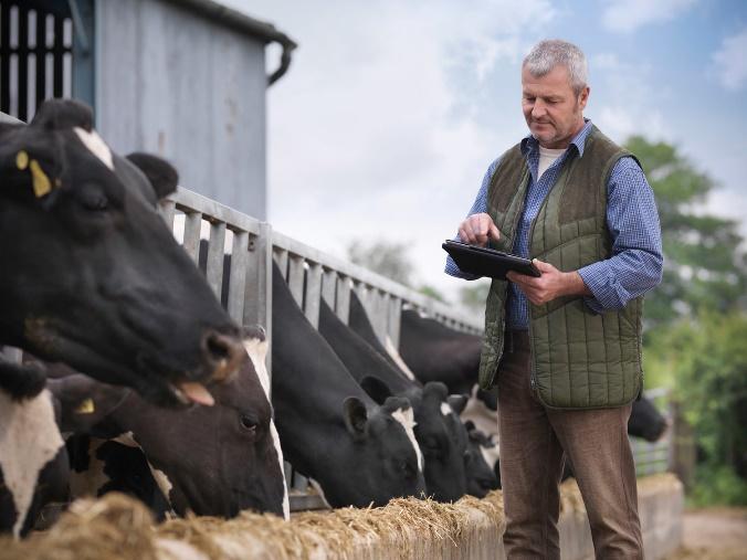 .<a href="/cainthus/">Cainthus</a> passively monitor clients' cows 24/7 and analyse their well-being, productivity &amp; performance.
 
They are a key inclusion in #IrelandINC250. In association with <a href="/SiaPartners/">Sia</a>

Download here: hubs.ly/Q01l4fr80