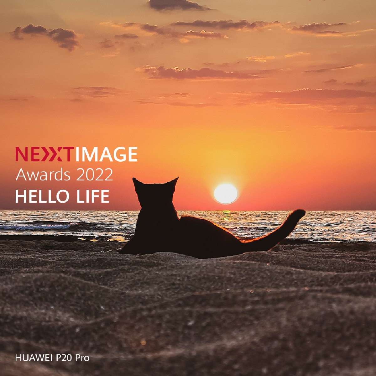 HuaweiMobileNL tweet media