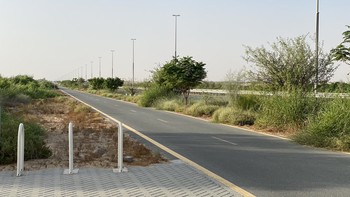 TheLeftOne's tweet photo. Friends and cycling and good weather #qudra #dubai #uae @MyFreshWater https://t.co/0CvrJmYwZw