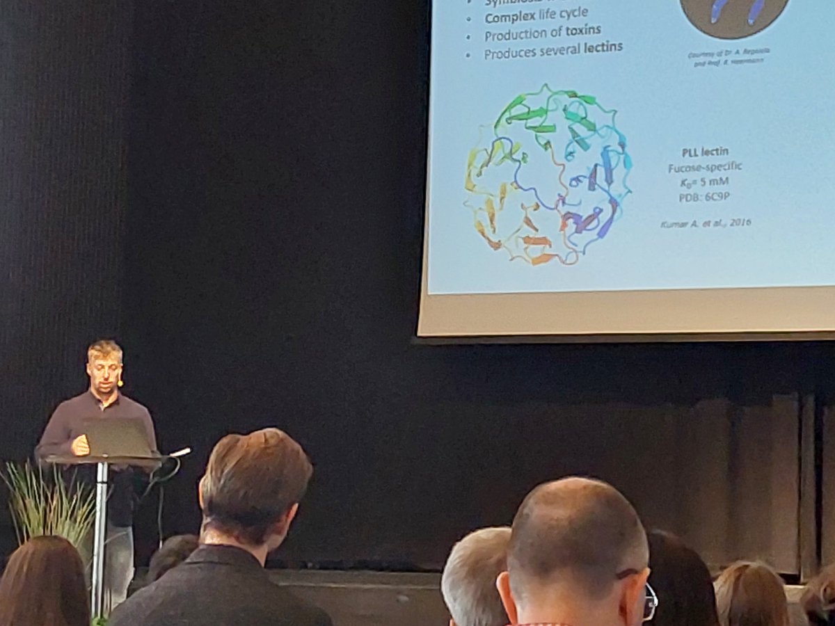 <a href="/LukasGajdos2/">Lukas Gajdos</a> presenting results at the <a href="/essneutron/">ESS</a>/<a href="/ILLGrenoble/">Institut Laue-Langevin</a> users' meeting from his PhD work on a fucose-binding lectin carried out in <a href="/LSG_ILLGrenoble/">Life Sciences Group ILL</a> and using the LADI-III diffractometer  <a href="/drmpblakeley/">Matthew Blakeley</a>.  nature.com/articles/s4146…