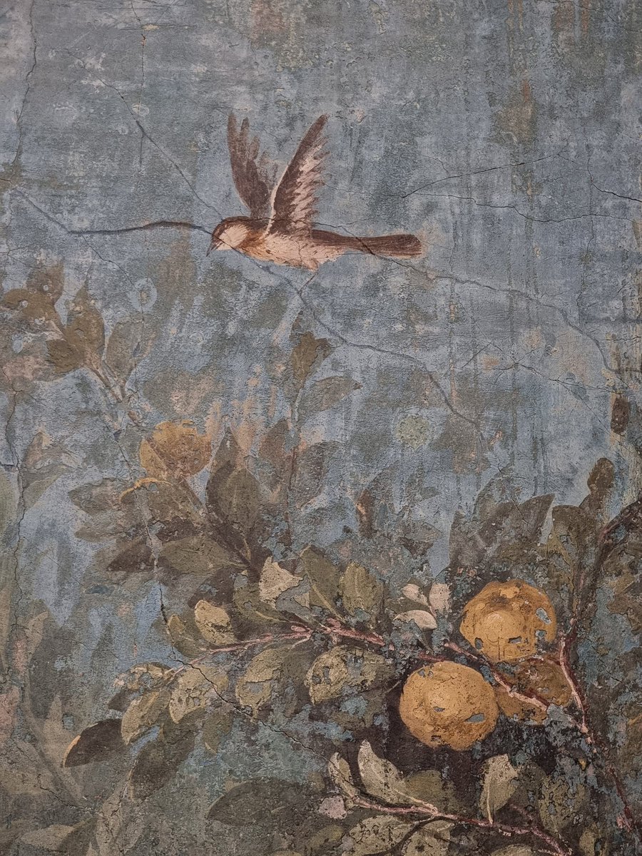 Bh_remi's tweet photo. Au palais Massimo de Rome, promenade champêtre dans le jardin de la villa Livia où les oiseaux s'ébattent au milieu d'une nature luxuriante. https://t.co/5AqRvlY5Sj